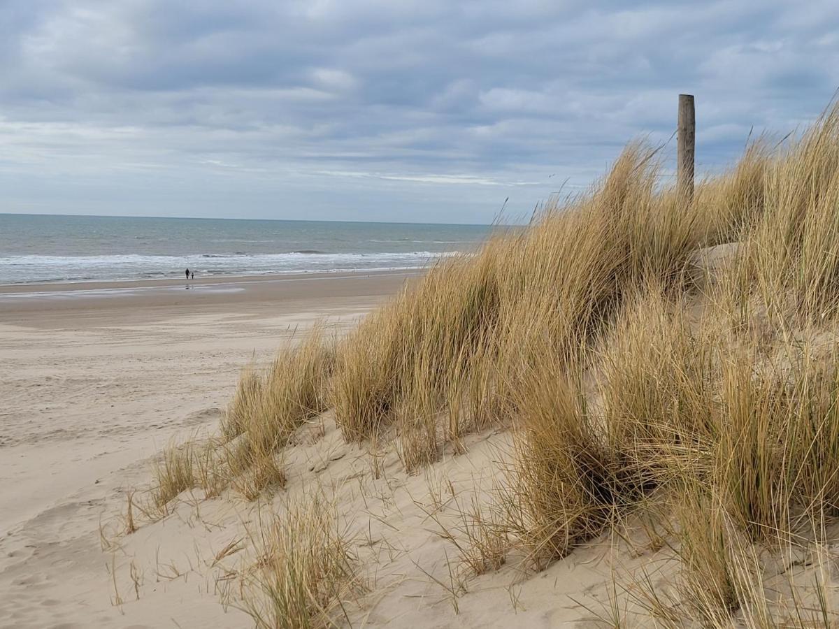Tiny Villa de Haas met Infraroodsauna Egmond aan Zee Buitenkant foto