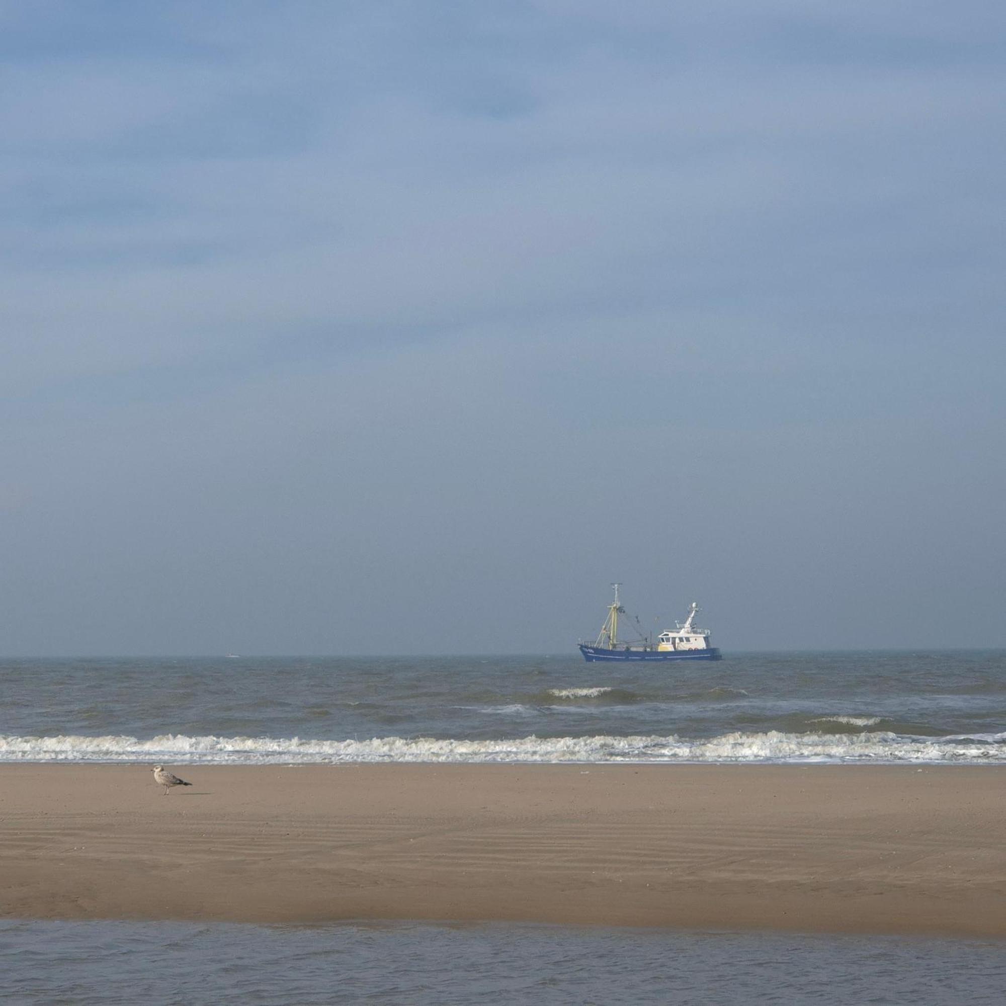 Tiny Villa de Haas met Infraroodsauna Egmond aan Zee Buitenkant foto