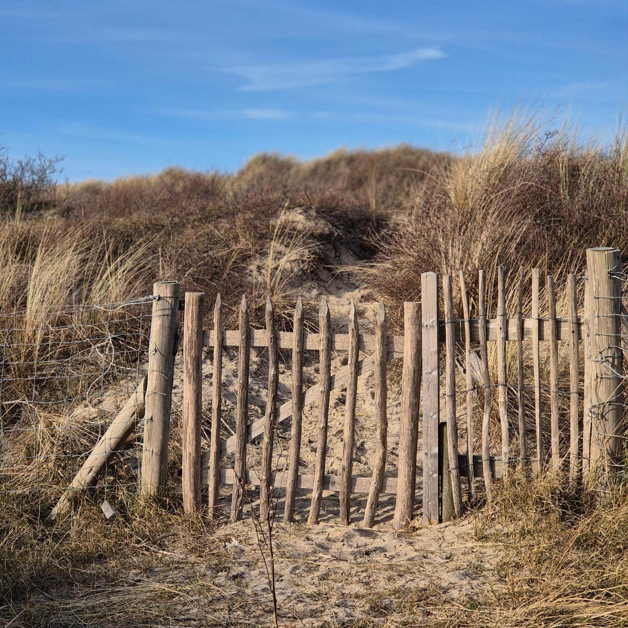 Tiny Villa de Haas met Infraroodsauna Egmond aan Zee Buitenkant foto